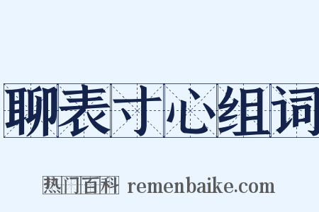 聊表寸心组词是什么意思的图片